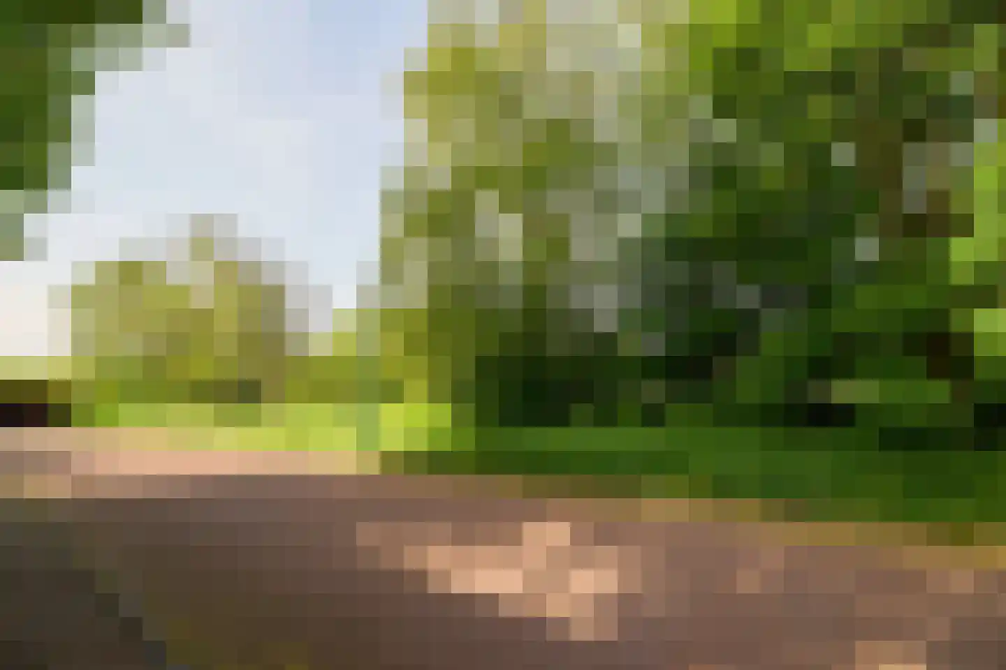 Veenpad 12 Soest thumbnail 7