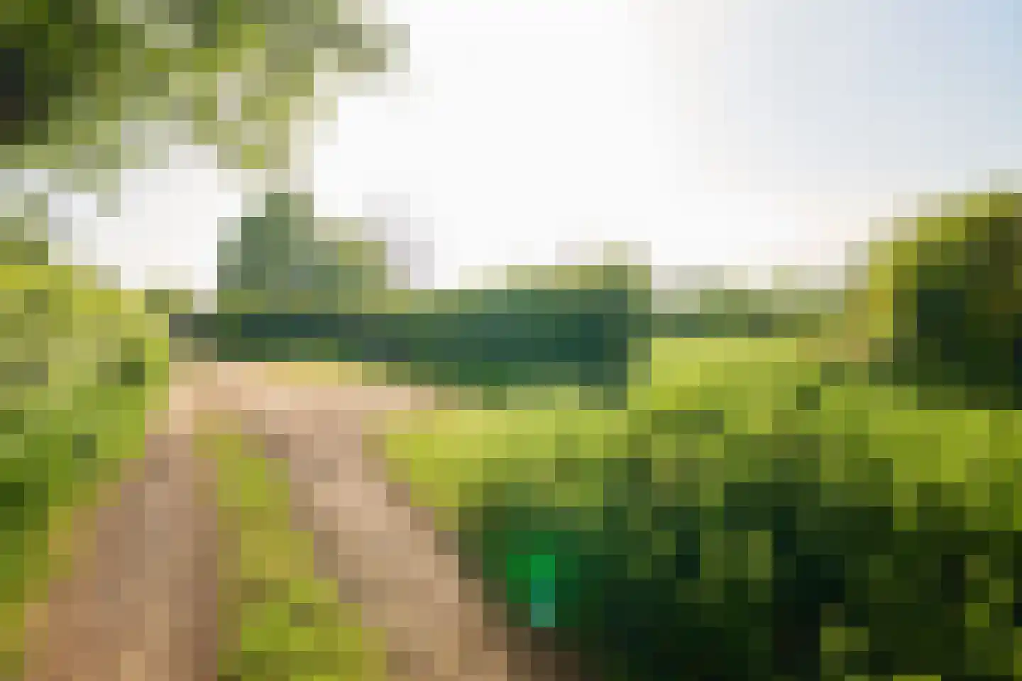 Veenpad 12 Soest thumbnail 8