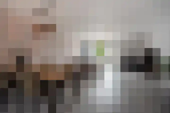 Veenpluis 14 Den Haag thumbnail 11
