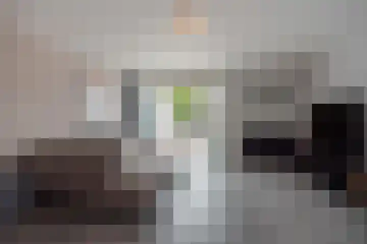Veenpluis 14 Den Haag thumbnail 12