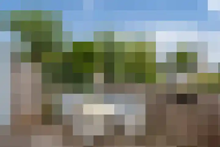 Veenpluis 14 Den Haag thumbnail 14