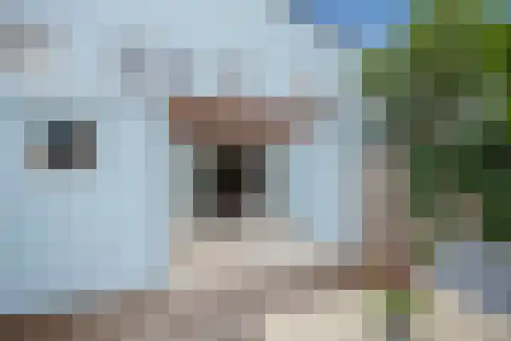 Veenpluis 14 Den Haag thumbnail 15