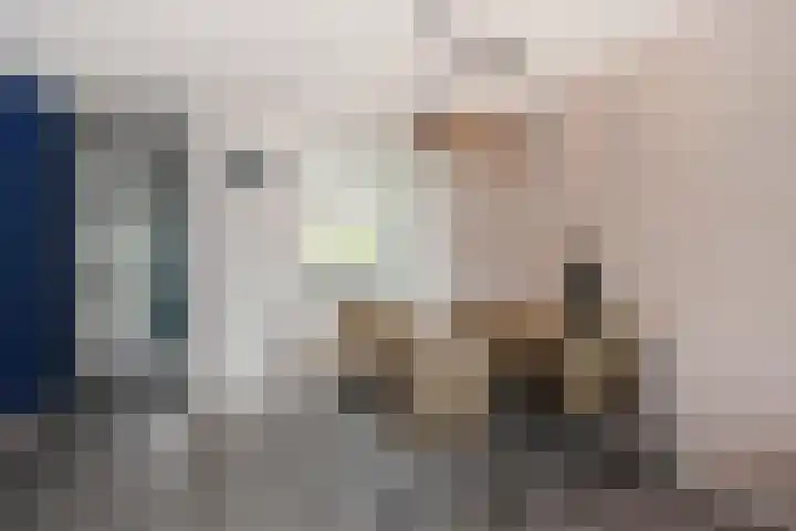 Veenpluis 14 Den Haag thumbnail 16