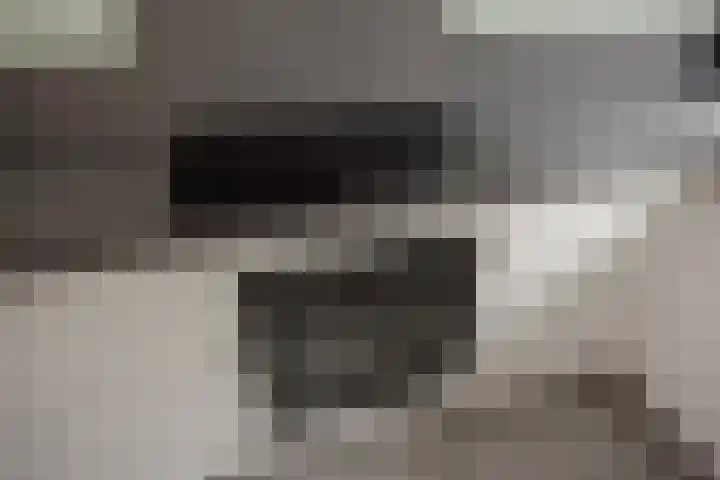 Veenpluis 14 Den Haag thumbnail 18