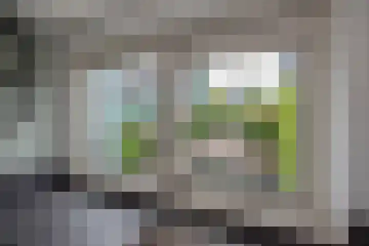 Veenpluis 14 Den Haag thumbnail 19