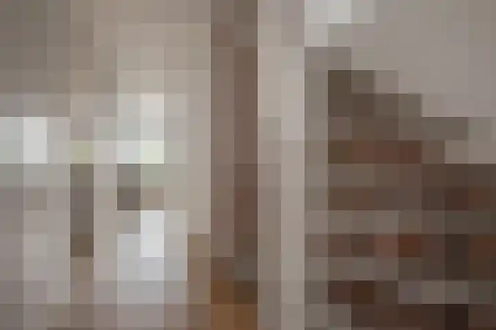 Veenpluis 14 Den Haag thumbnail 21