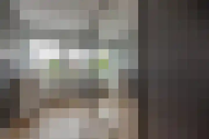 Veenpluis 14 Den Haag thumbnail 27