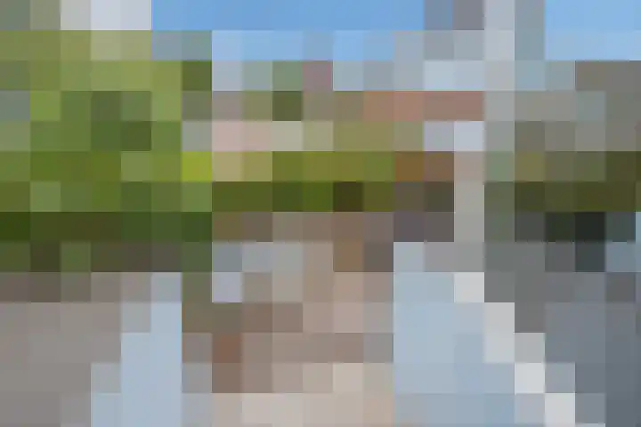 Veenpluis 14 Den Haag thumbnail 28