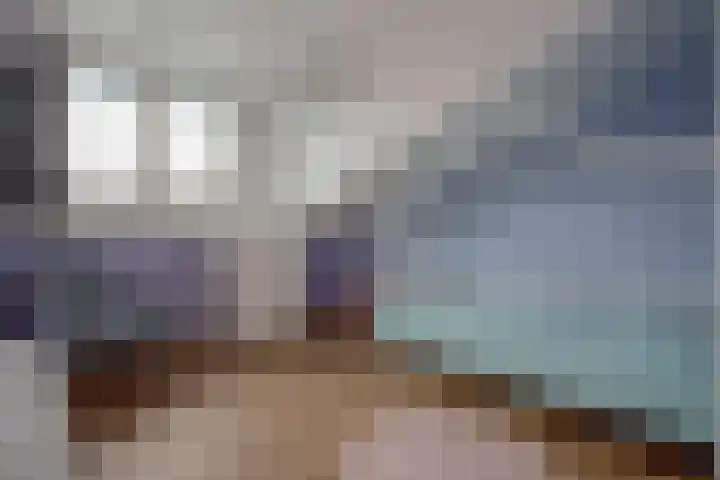 Veenpluis 14 Den Haag thumbnail 31