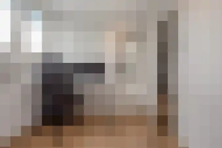 Veenpluis 14 Den Haag thumbnail 33