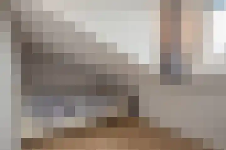Veenpluis 14 Den Haag thumbnail 34
