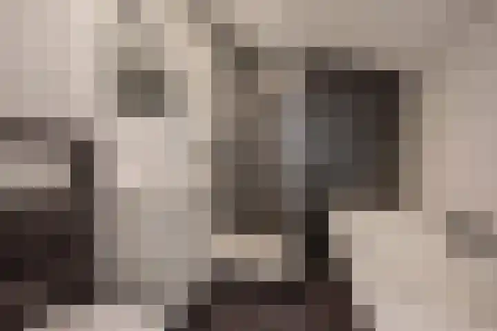 Veenpluis 14 Den Haag thumbnail 36