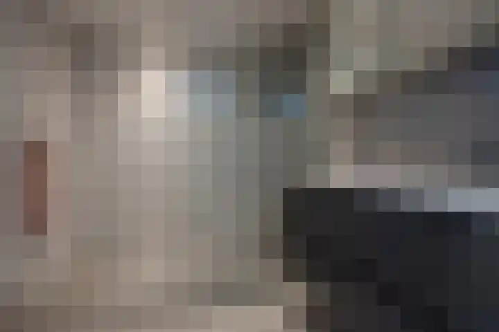 Veenpluis 14 Den Haag thumbnail 4
