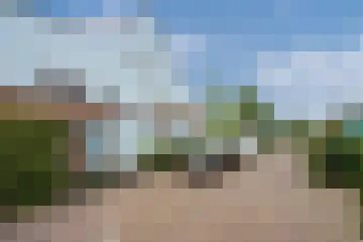 Veenpluis 14 Den Haag thumbnail 5