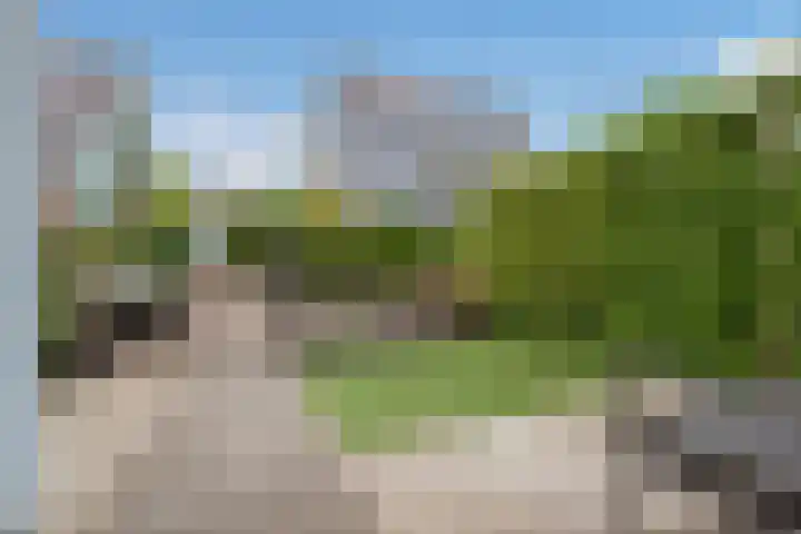 Veenpluis 14 Den Haag thumbnail 6