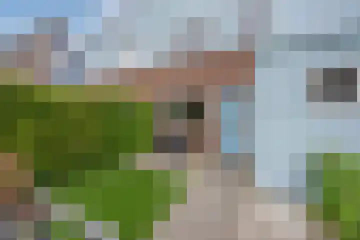 Veenpluis 14 Den Haag thumbnail 7