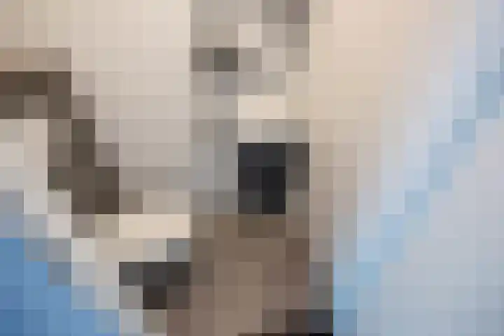 Veenpluis 14 Den Haag thumbnail 9