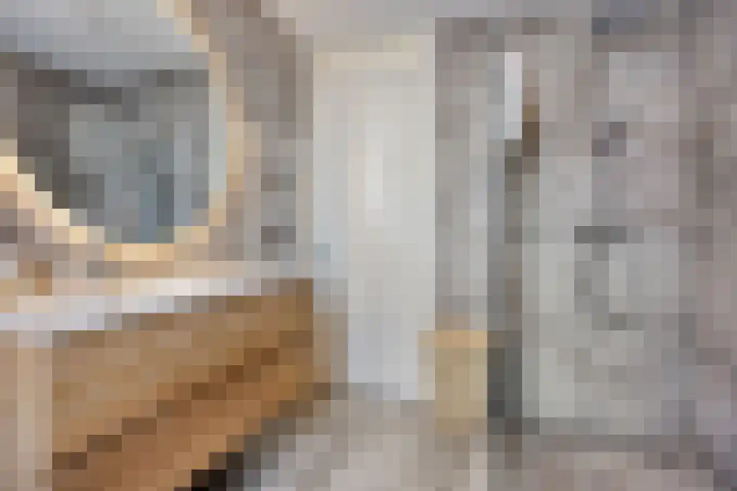 Veenpluis 16 Roelofarendsveen thumbnail 18
