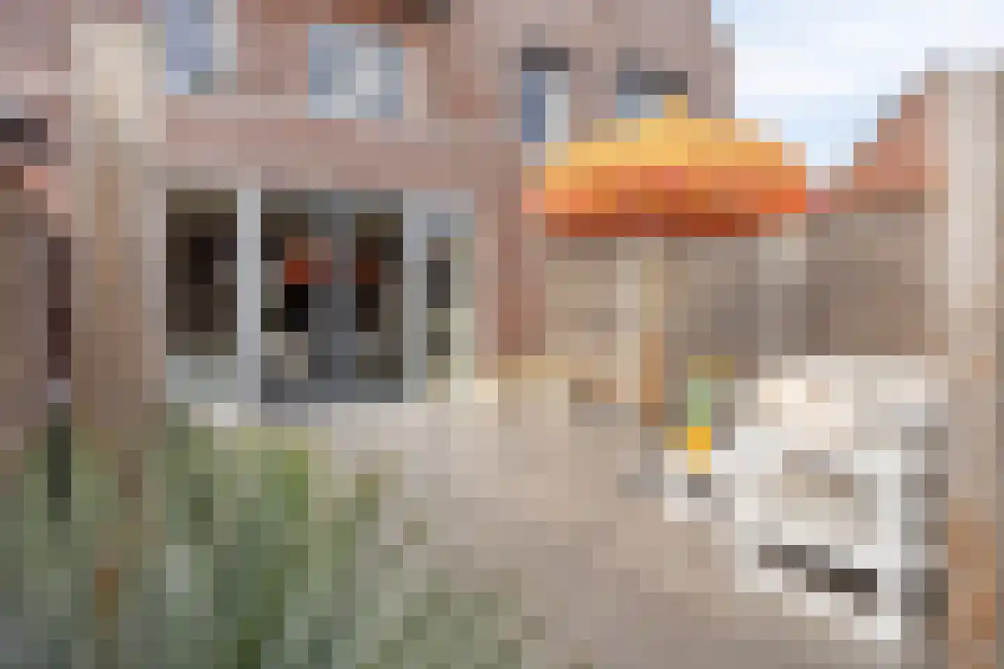 Veenpluis 16 Roelofarendsveen thumbnail 24