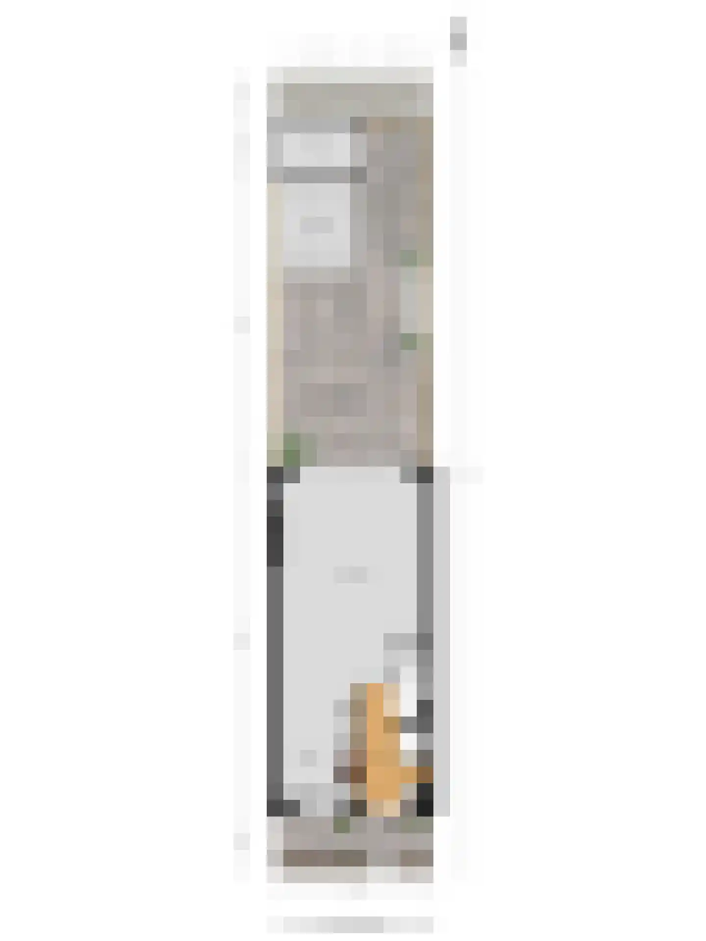 Veenpluis 16 Roelofarendsveen thumbnail 28