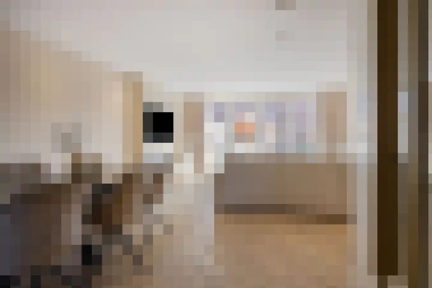 Veenpluis 16 Roelofarendsveen thumbnail 5