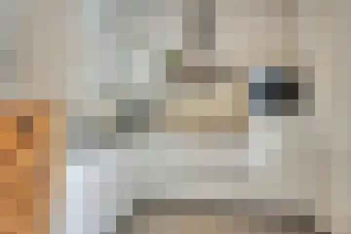 Veenpluis 28 Boekel thumbnail 11