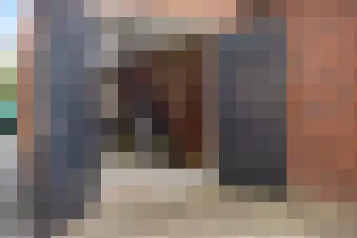 Veenpluis 28 Boekel thumbnail 16