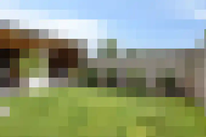 Veenpluis 28 Boekel thumbnail 17