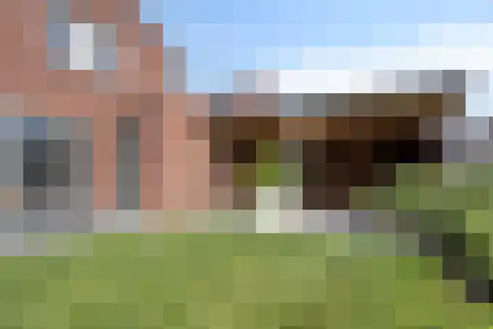 Veenpluis 28 Boekel thumbnail 18
