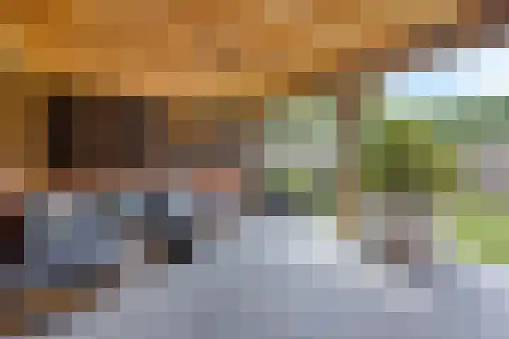 Veenpluis 28 Boekel thumbnail 21