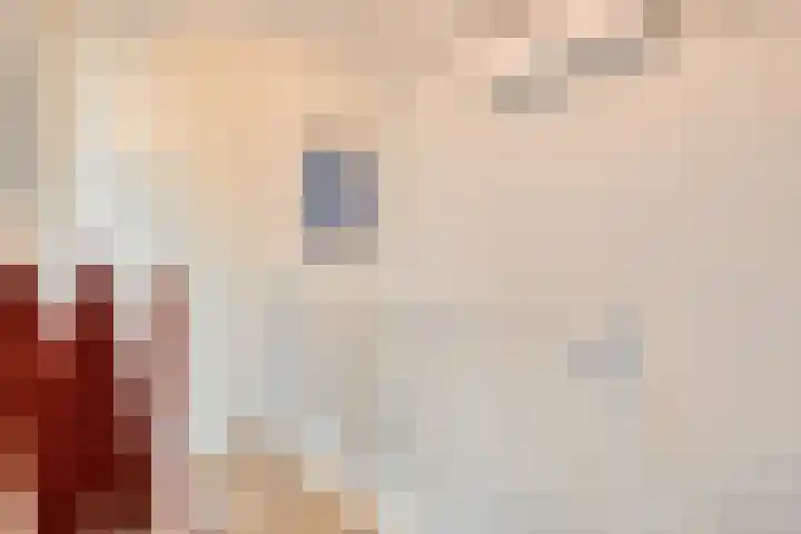 Veenpluis 28 Boekel thumbnail 23