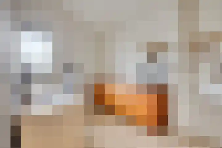 Veenpluis 28 Boekel thumbnail 29