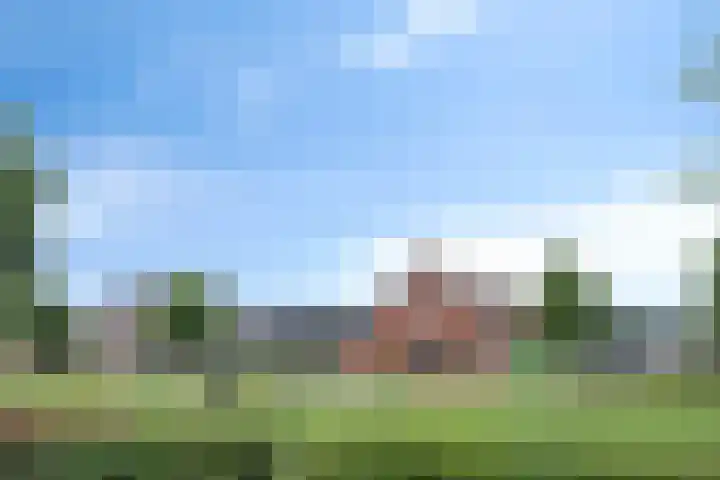 Veenpluis 28 Boekel thumbnail 32