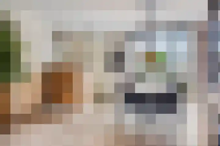 Veenpluis 28 Boekel thumbnail 8