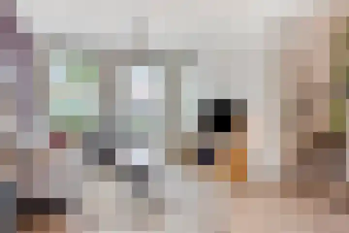 Veenpluis 28 Boekel thumbnail 9