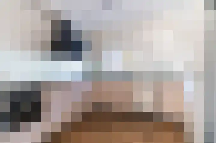 Veenpluis 6 Den Haag thumbnail 12
