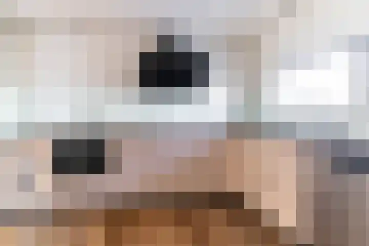 Veenpluis 6 Den Haag thumbnail 13
