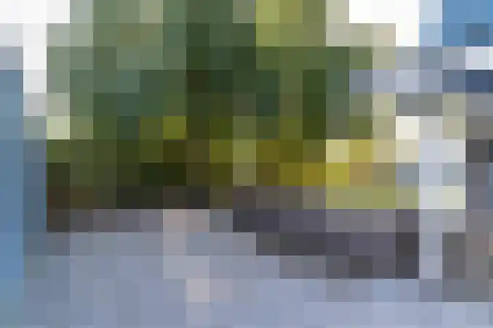Veenpluis 6 Den Haag thumbnail 14