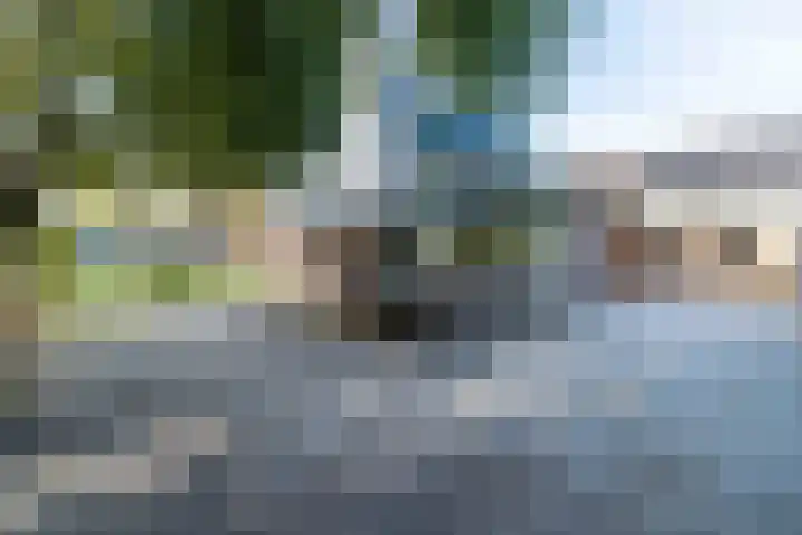 Veenpluis 6 Den Haag thumbnail 15