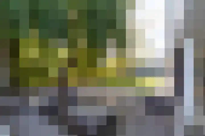 Veenpluis 6 Den Haag thumbnail 17