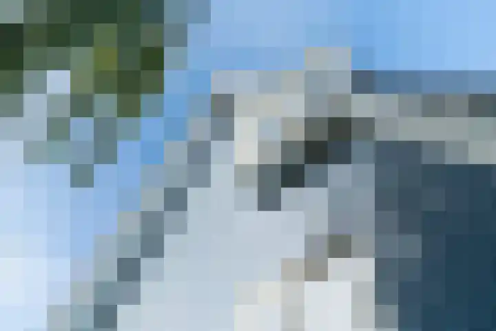 Veenpluis 6 Den Haag thumbnail 18