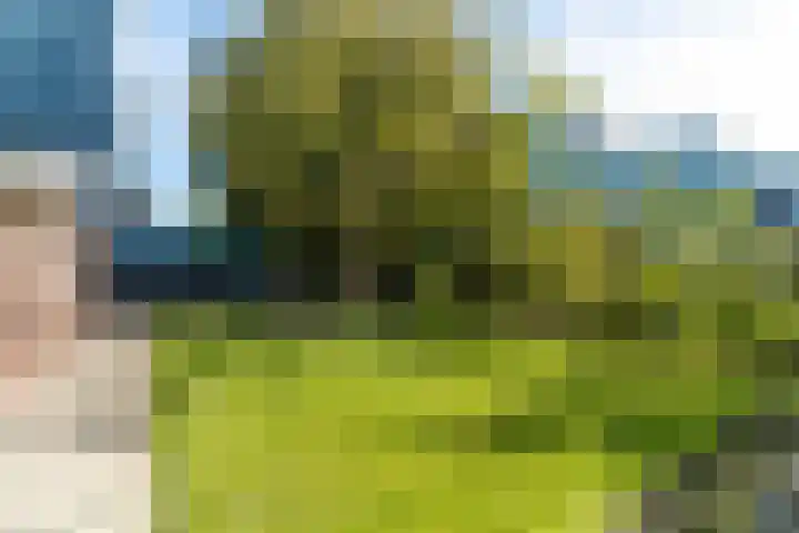 Veenpluis 6 Den Haag thumbnail 19