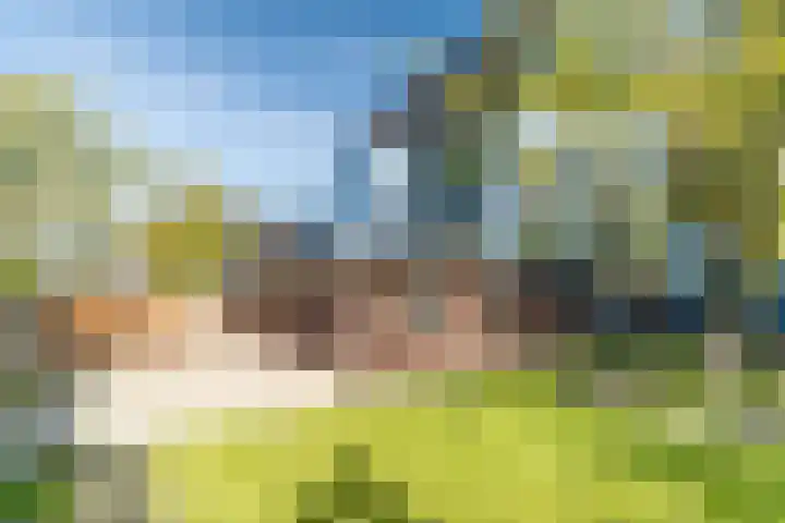 Veenpluis 6 Den Haag thumbnail 20