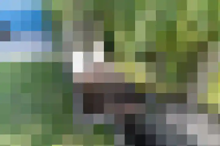 Veenpluis 6 Den Haag thumbnail 21