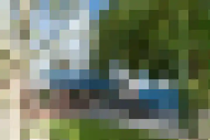Veenpluis 6 Den Haag thumbnail 23