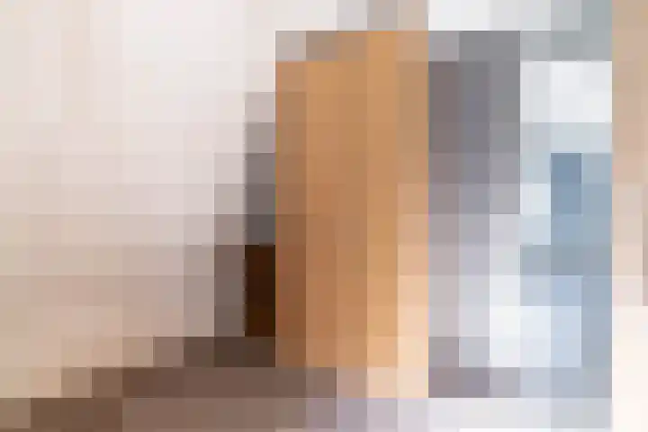Veenpluis 6 Den Haag thumbnail 30