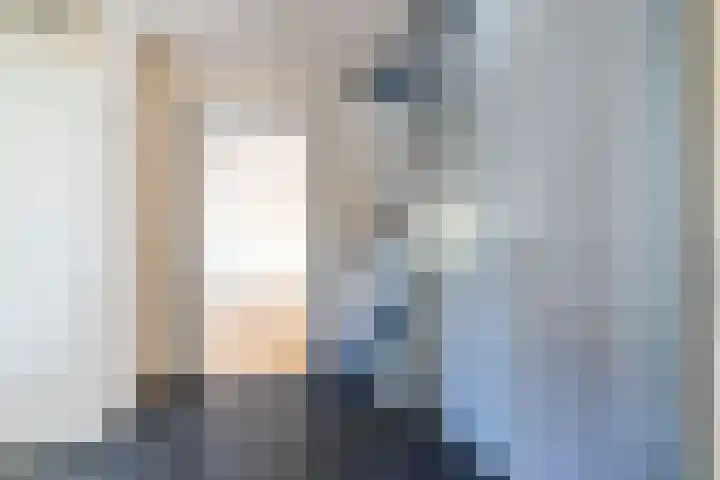 Veenpluis 6 Den Haag thumbnail 4