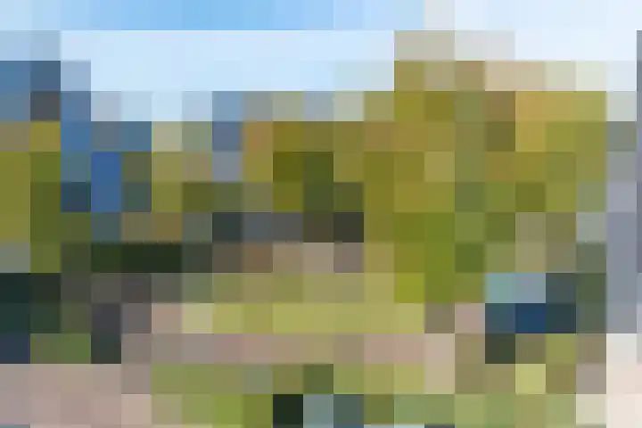 Veenpluis 6 Den Haag thumbnail 43