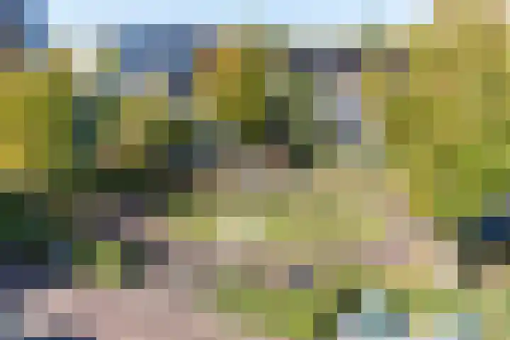 Veenpluis 6 Den Haag thumbnail 48