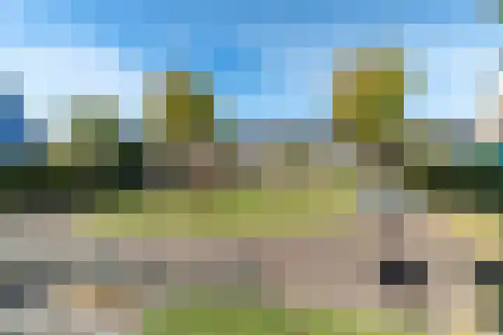 Veenpluis 6 Den Haag thumbnail 50